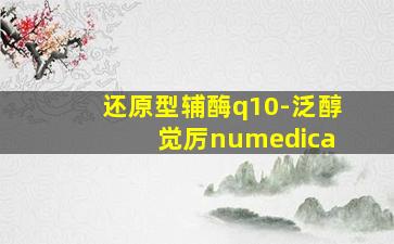 还原型辅酶q10-泛醇 觉厉numedica